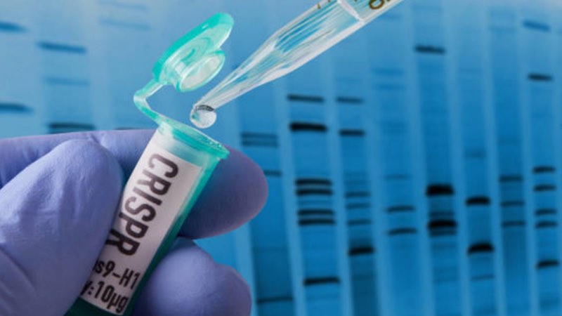 Collaborators use CRISPR to catch cancer-causing gene fusions