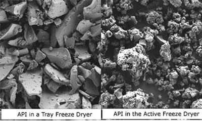 Figure 2: Freeze dried API: traditional versus the active freeze drying process