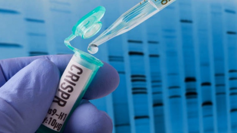 CRISPR gene editing technology licence extended