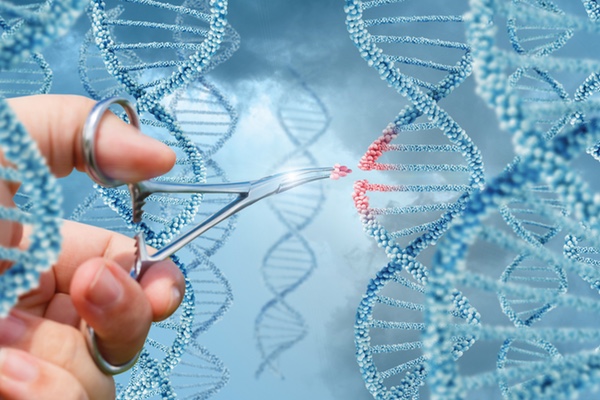 CRISPR in clinical trials: the future of gene editing
