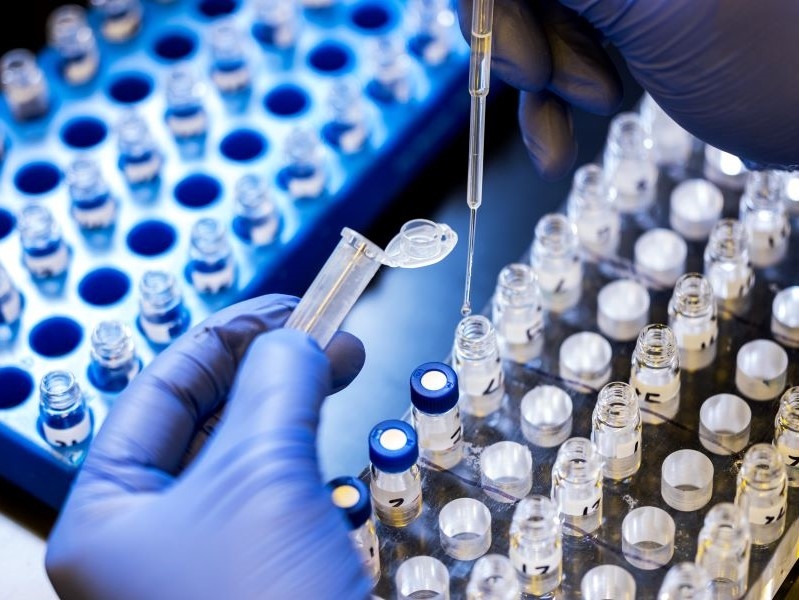 De-risk early stage drug development with Lonza Small Molecules