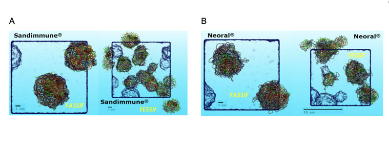 Figure 3: Showing the MDS predictions of Sandimmune (A) and Neoral (B) under simulated fasted (FaSSIF) and fed (FeSSIF) conditions (left and right, respectively), highlighting effect of formulation digestion specifically the greater difference in performance for Sandimmune. Key: cyan = carbon, red = oxygen, white = polar hydrogen,PEG surfactants are straws in cyan/red, glycerides and alkane chains in orange, bile salts in green and phospholipids in yellow.