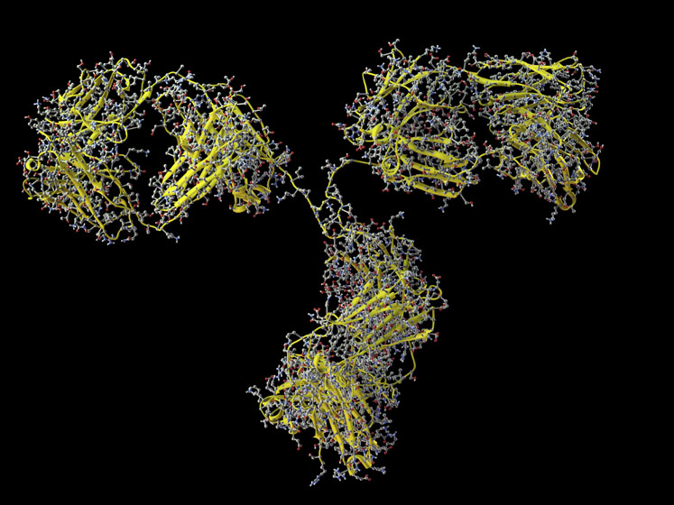 Derisking and accelerating oral peptide delivery via computational drug development tools
