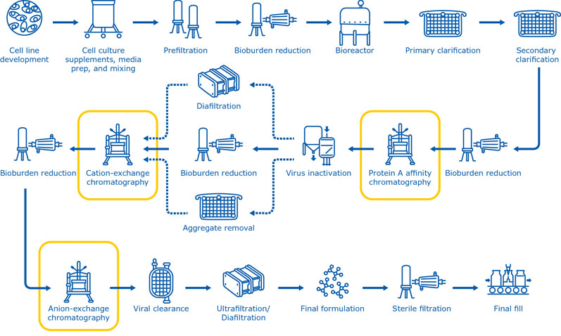 Figure 1: The manufacturing process for monoclonal antibodies typically includes multiple chromatography steps