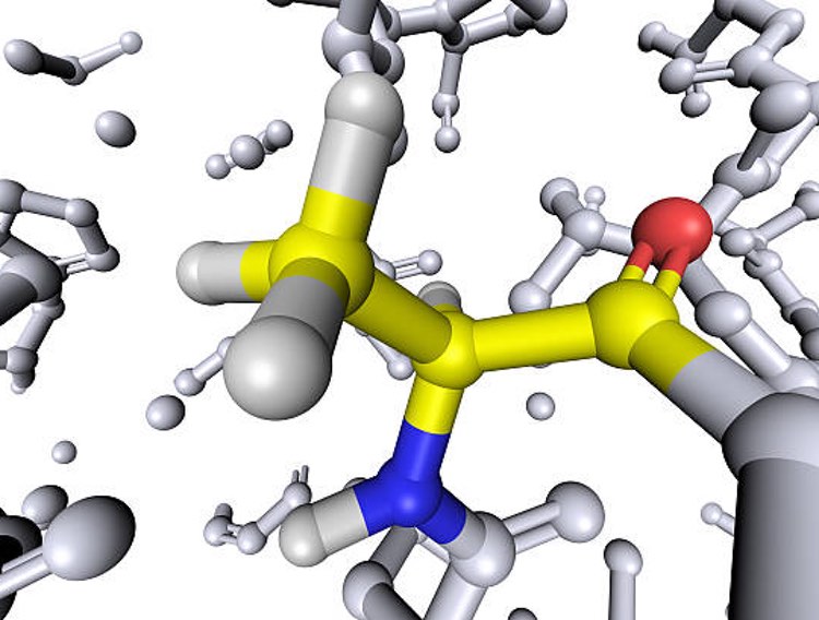 DMC Biotechnologies Completes Downstream Processing For L alanine