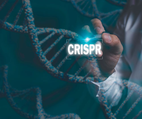 EMBO Installation Grant supports new genome editing lab at Vilnius University