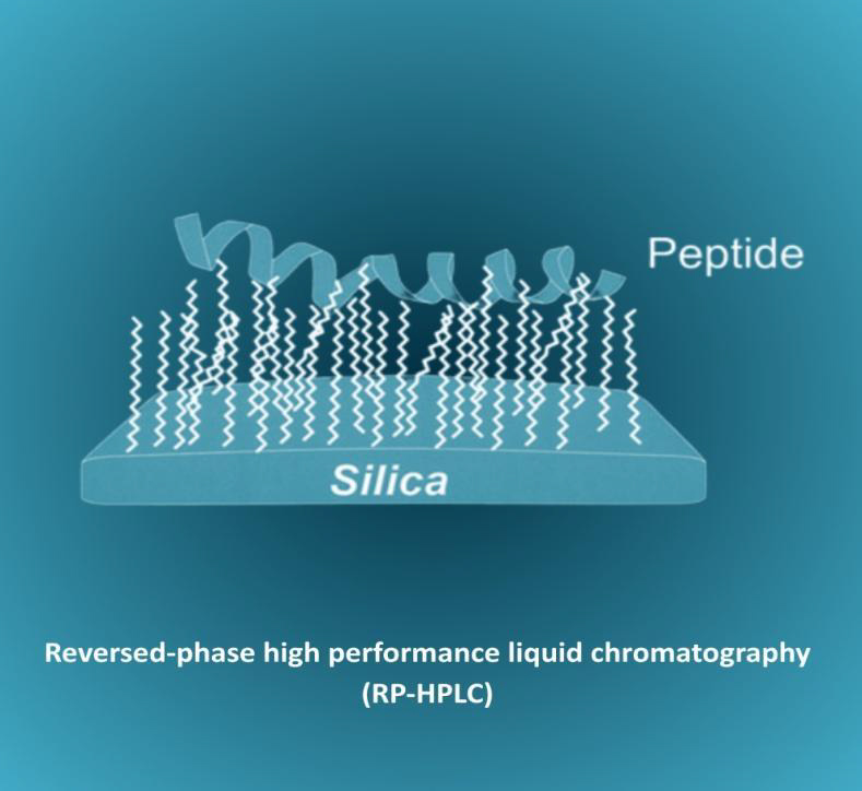 Evaporation and lyophilization for converting RP-HPLC peptide fractions into stable powders