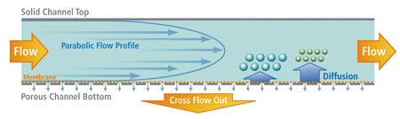 Figure 2. Flow Field Flow Fractionation (AF4) channel cross section, where the rate of laminar flow within the channel is not uniform. It travels in a parabolic pattern with the speed of the flow, increasing towards the centre of the channel and decreasing towards the sides