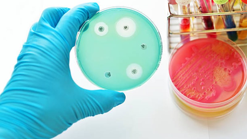 Global CDMO joins antimicrobial resistance alliance