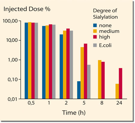 Figure 3: Improvement of the bioavailability (shown in percentage of injected dose) of a growth factor