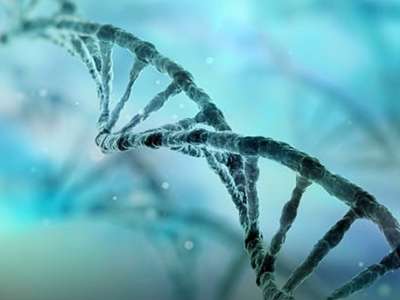 Horizon Discovery launches genome-wide CRISPRi and CRISPRa screening services