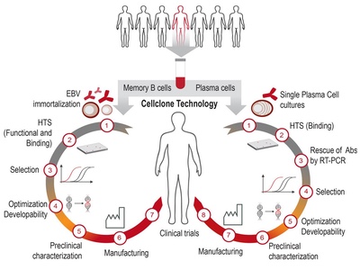 Humabs BioMed and UC Berkeley publish data for novel assay to detect Zika virus