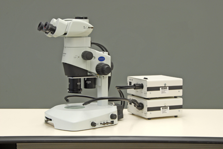 Figure 3: Olympus SZX10 stereomicroscope with coaxial illumination