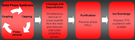 Figure 2: Streamlining process development for early phase GMP peptide manufacture