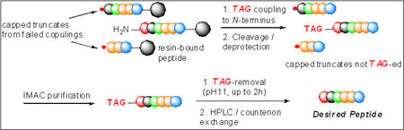 Figure 3: TAG-based peptide purification