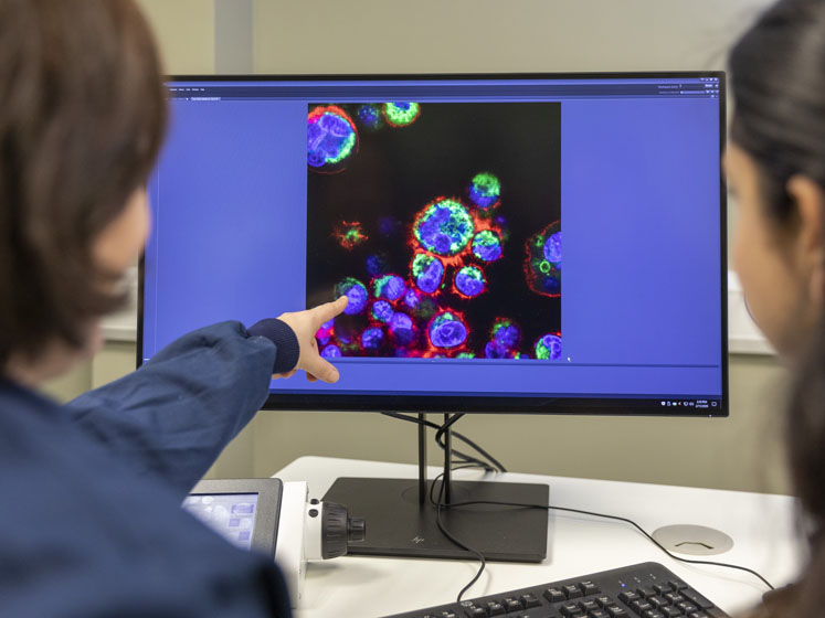 Medicines Discovery Catapult and ZEISS set sights on advancing microscopy in drug discovery
