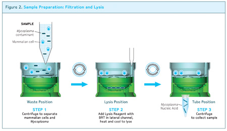 Samples are processed in a simple three-step procedure (below) using a dual membrane filtration device