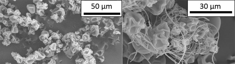 Figure 1: SEM images of spray dried Eudragit L100 morphology without (left) and with (right) filaments