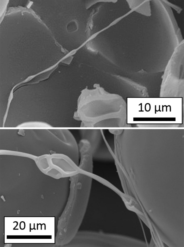 Figure 3: SEM images of filament particles exhibiting a “bead-on-a-string” morphology