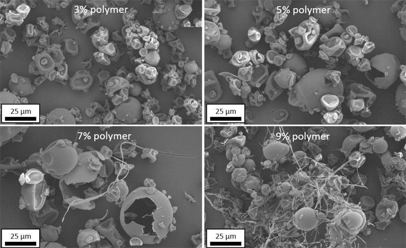 Figure 5: SEM images of spray dried Eudragit L100 powder produced at four increasing spray solution solids loadings
