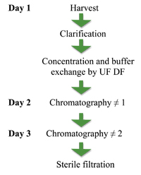 Figure. 5: Classical virus purification process