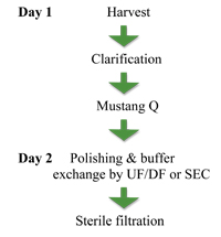 Figure 6: The GMP process based on membrane chromatography