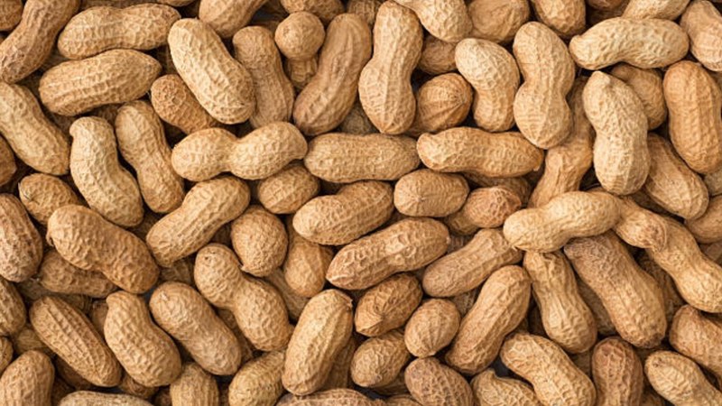Novartis starts voluntary recall after peanut contamination scare