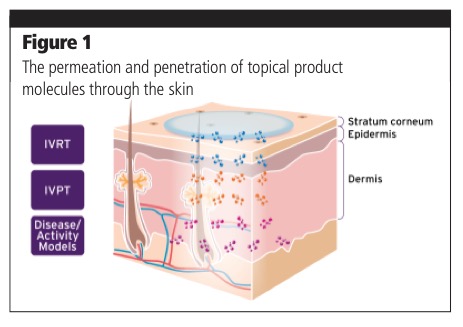 Performance testing of topical formulations reaches new levels