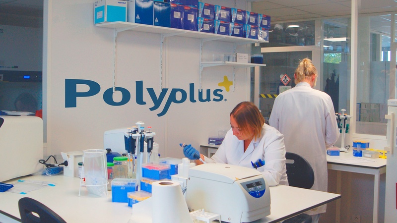 Polyplus launches transgene plasmid engineering services for viral vector manufacturing