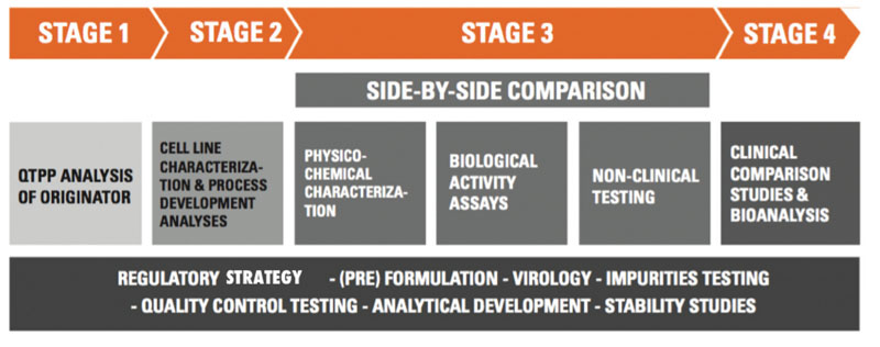 Figure 1: Typical biosimilar development lifecycle