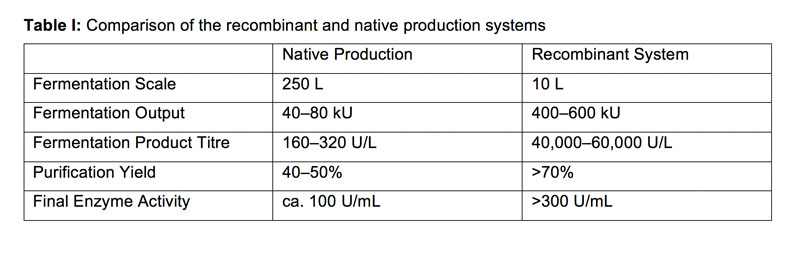 Recombinant cultures for superior enzyme output  