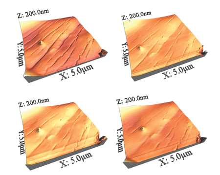 Figure 1: AFM topography images of the same area of a particle of the API equilibrated at 50% RH for 15 mins (top left), 55% RH for 15 mins (top right), 60% RH for 15mins (bottom left) and 1 h 45 mins (bottom right)