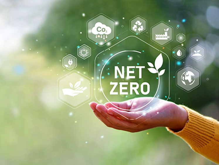 A roadmap for net zero success