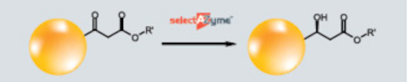 Figure 2: The CRED reduction of a hydrophobic ketone using the selectAZyme platform