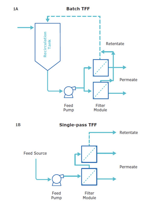 Figure 1: Compared with the traditional parallel configuration of batch TFF (A), single-pass TFF (B) produces concentrated retentate after one pass through filters in series, eliminating the space-limiting recirculation loop