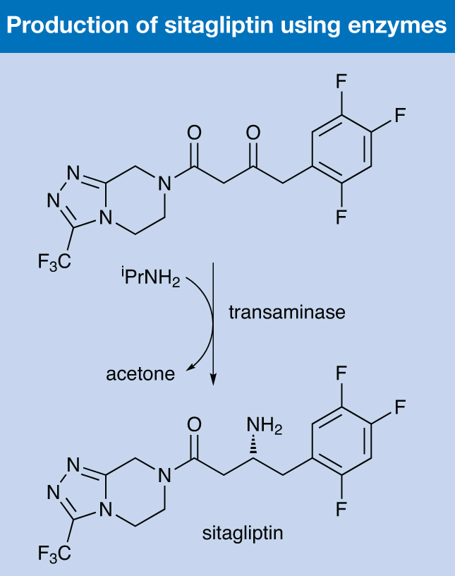 Scheme 5