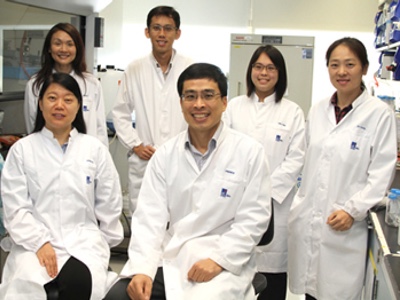 The researchers clockwise from right: Dr Andrew Wan, Dr Hongfang Lu, Dr Ashley Lim, Dr Jia Kai Lim, Ms Ying Ping Chua and Dr Chan Du