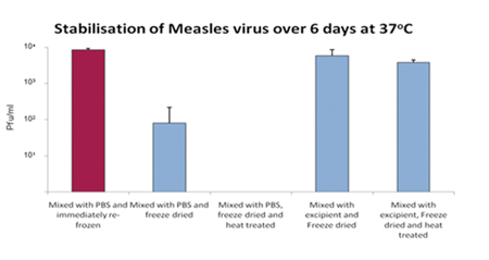 Figure 3: Stabilitech’s excipients combined with lyophilisation stabilised the measles virus with minimal losses on freeze drying and then further very small losses following heat challenge at 37˚C for several days – in comparison with the major losses in similar conditions without Stabilitech’s excipients