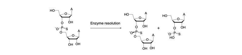 Figure 9: Enzyme-mediated resolution of dimers