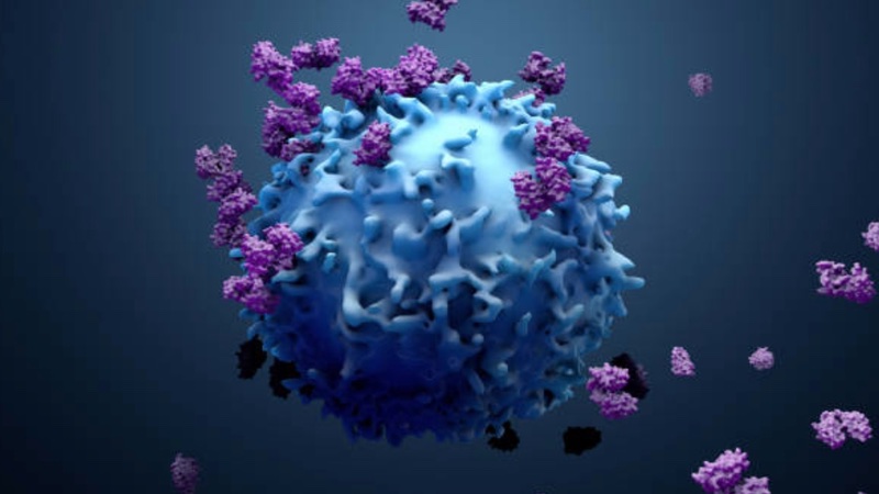 Twist Bioscience puts antibody optimisation potential to use