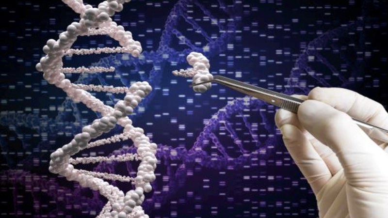 US Patent and Trademark office declares new CRISPR interference