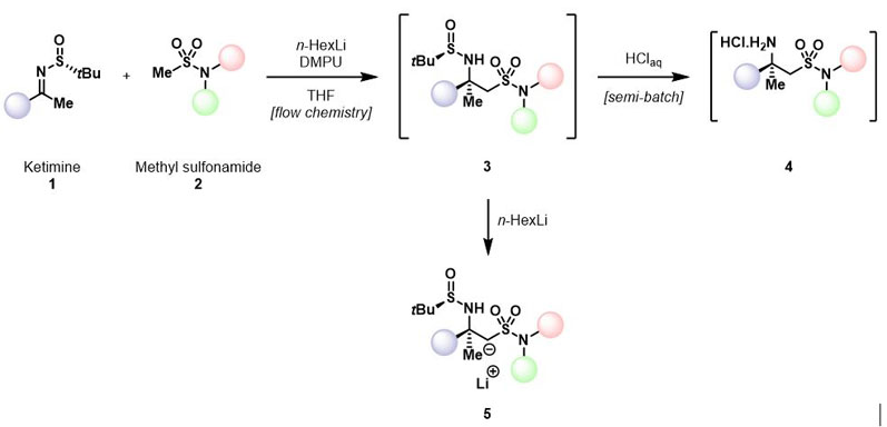 Figure 1: Schematic of organolithium addition to a chiral ketimine