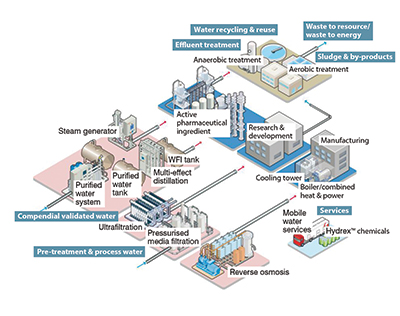 Figure 1: Turnkey solutions for the pharmaceutical industry