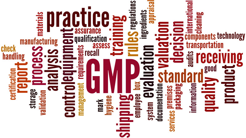 What to consider for successful GMP Annex 1 implementation