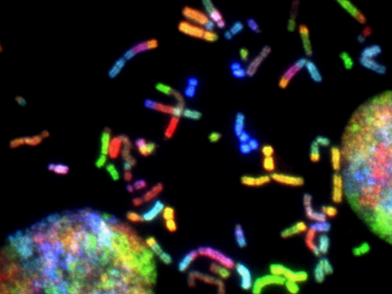 Ascend launches as facilitator for gene therapy companies