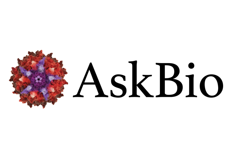 AskBio receives FDA Fast Track Designation for congestive heart failure gene therapy programme