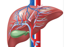 Aslan announces shortened timeline to commercialisation for varlitinib