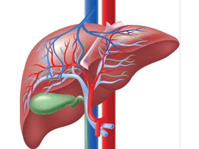 Aslan announces shortened timeline to commercialisation for varlitinib