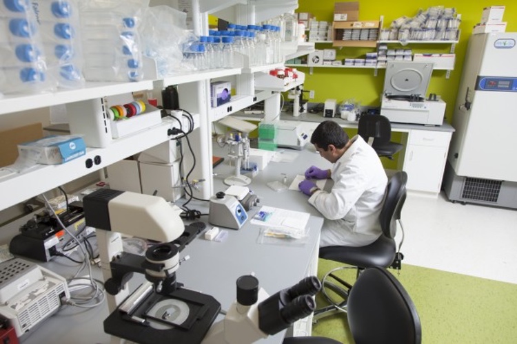 Astellas invests $13m in cell and gene therapy innovation incubators