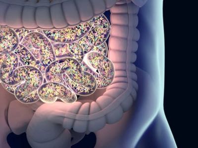 AstraZeneca and Seres investigate impact of the microbiome on cancer medication